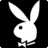 PlayBoyPlus